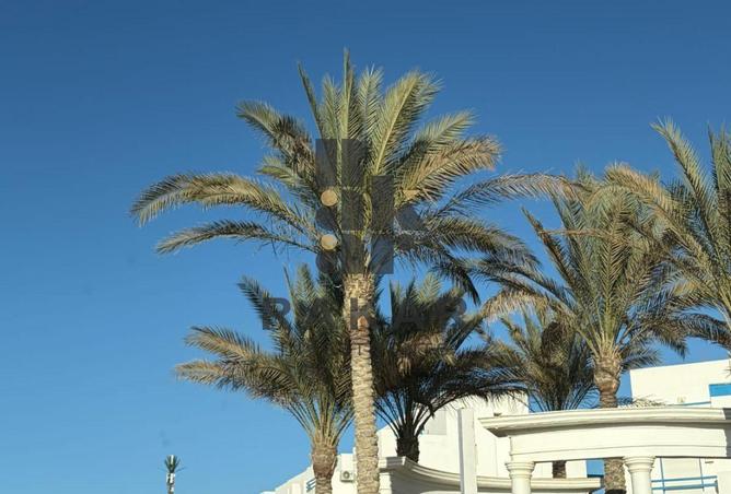 8672613 - Property Image 3