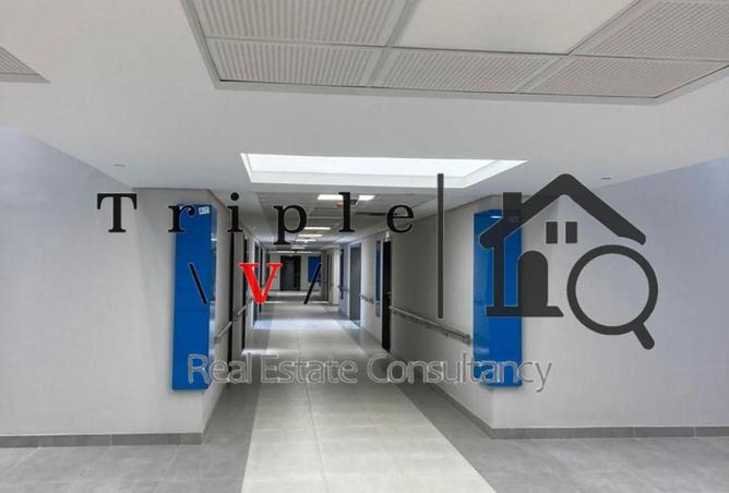 62170535 - Property Image 3