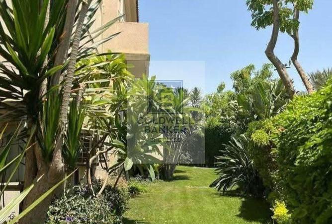 68535351 - Property Image 3