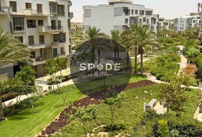 77050742 - Property Image 2