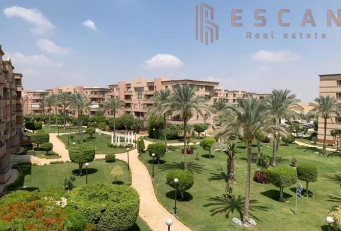 8505002 - صورة العقار 3