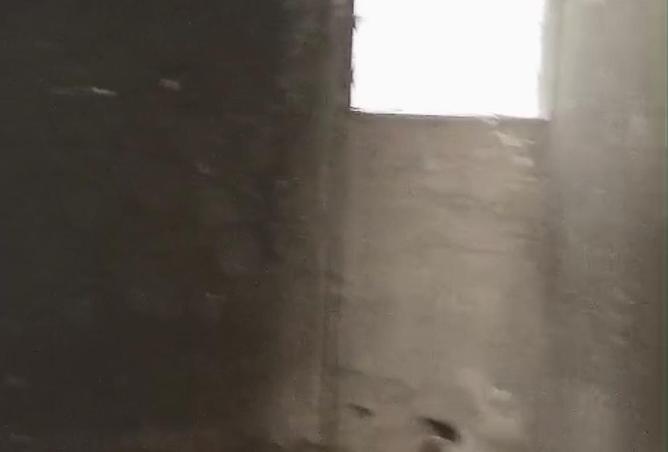 55257842 - صورة العقار 2