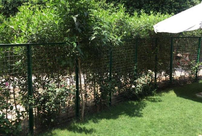 107698240 - الصورة الرئيسية للعقار