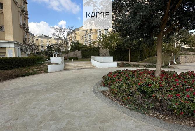 63881674 - Property Image 3