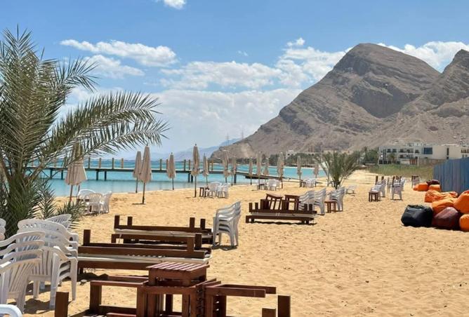 62173087 - صورة العقار 2