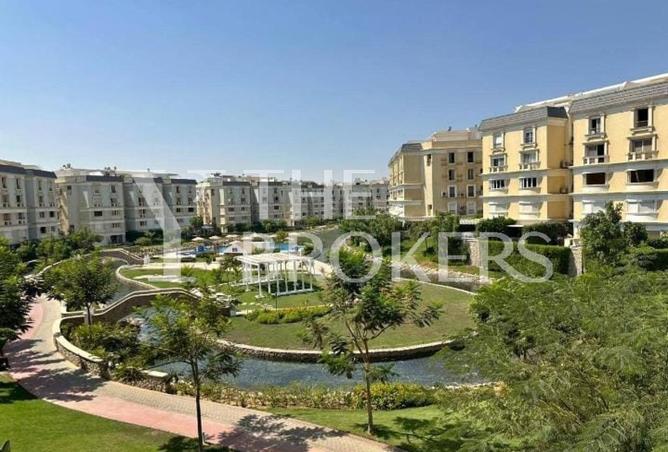 53728881 - Property Image 3