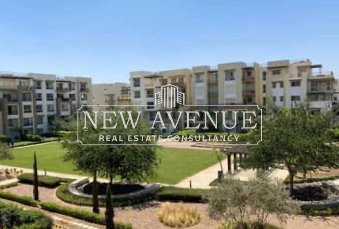 54496075 - Property Image 2