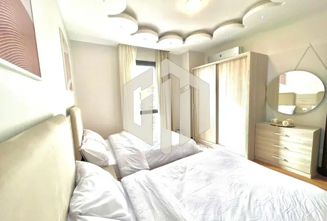 116493481 - Property Image 3