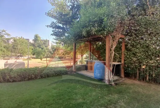 117527954 - Property Image 3