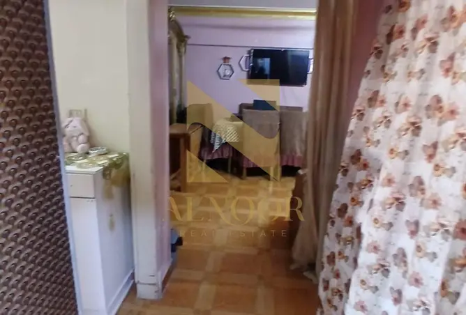 113266493 - Property Image 3