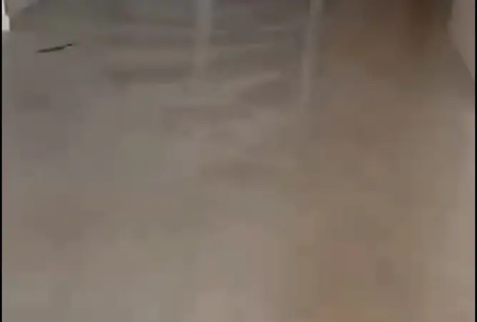 117521716 - صورة العقار 3