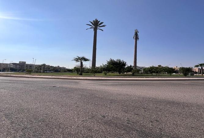 57484516 - Property Image 2