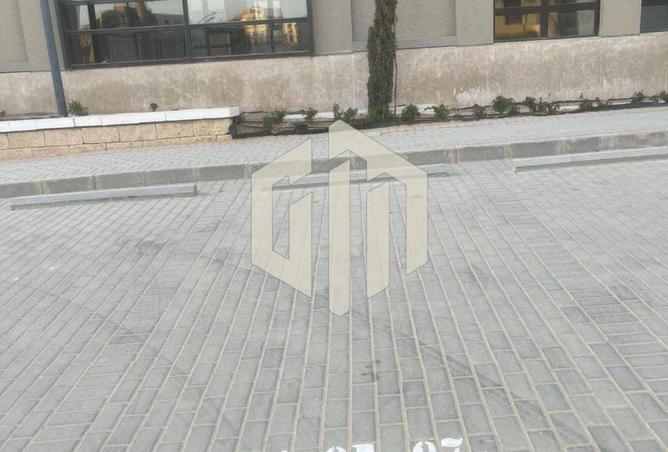 55756042 - Property Image 3