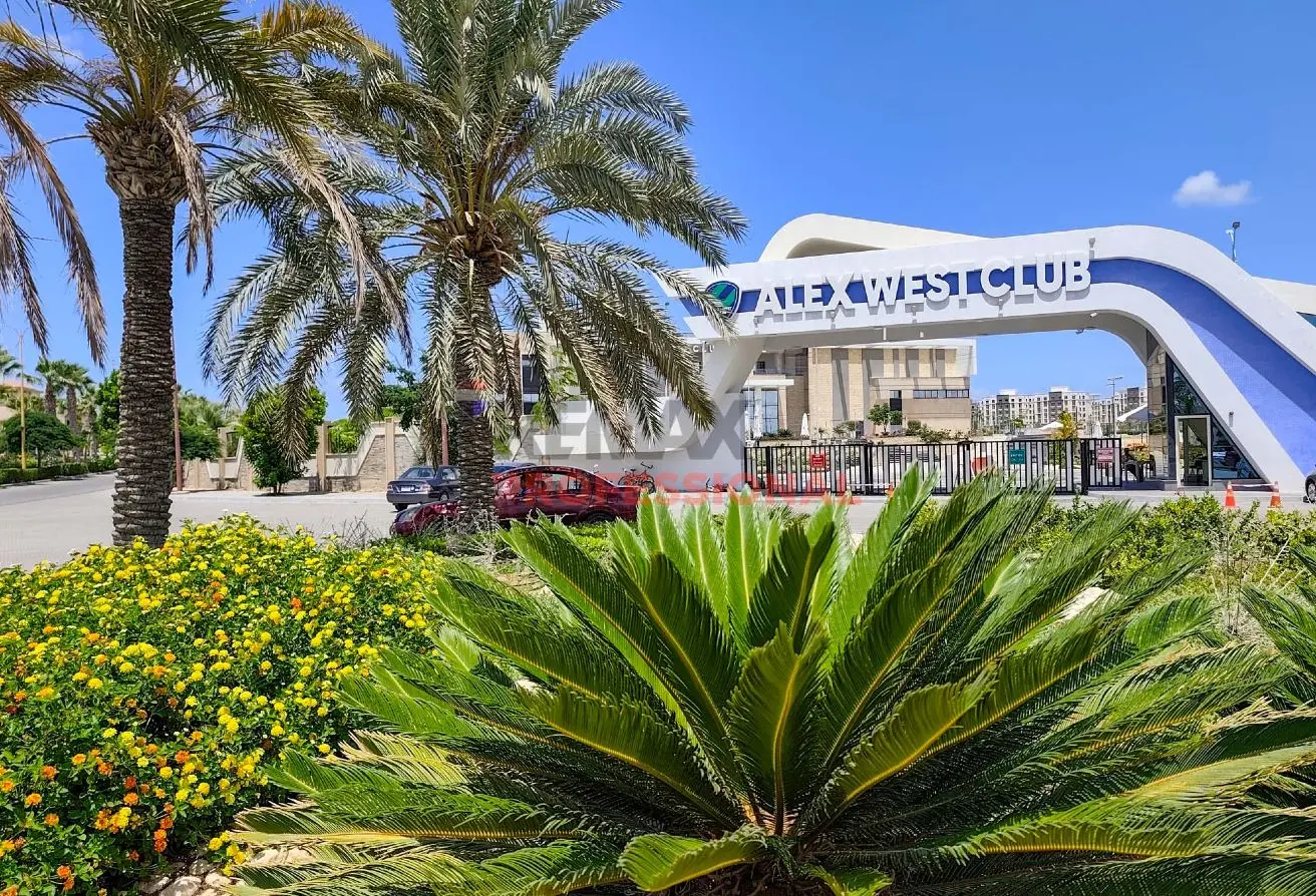 94095785 - الصورة الرئيسية للعقار