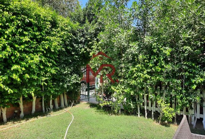 70109702 - صورة العقار 2