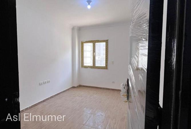 75132238 - Property Image 3