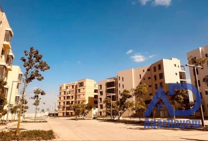 61690073 - Property Image 3