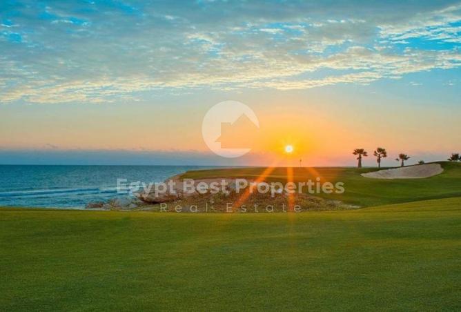 68535430 - Property Image 2