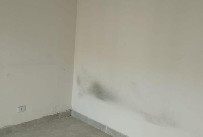 8599078 - صورة العقار 2