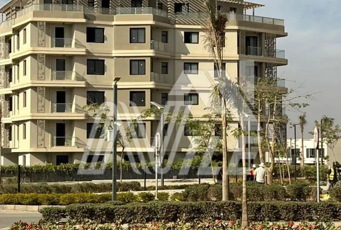120355080 - صورة العقار 3