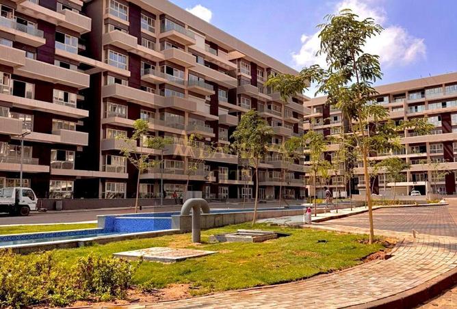 56246700 - Property Image 3