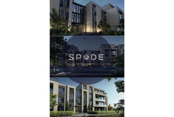 61684412 - Property Image 3