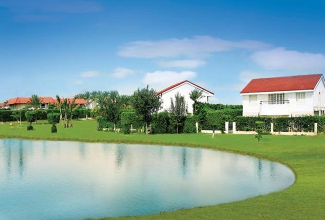 8608873 - صورة العقار 2