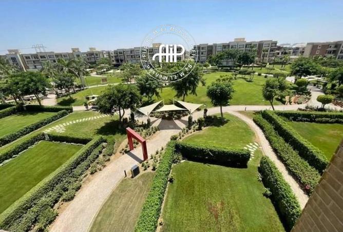 53478210 - Property Image 3