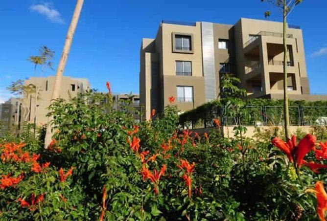 64648976 - الصورة الرئيسية للعقار