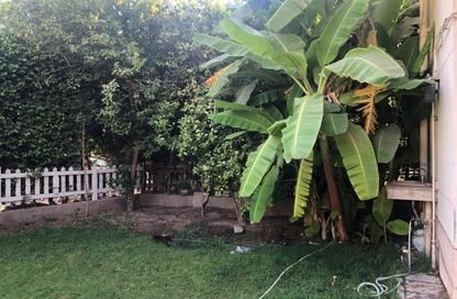 Twin House - 3 Bedrooms - 4 Bathrooms for rent in El Rehab Extension - Al Rehab - New Cairo City - Cairo Twin House - 3 Bedrooms - 4 Bathrooms for rent in El Rehab Extension - Al Rehab - New Cairo City - Cairo