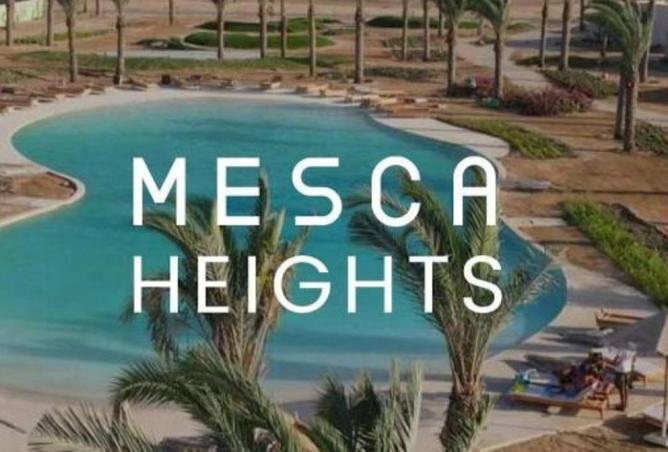 61449573 - صورة العقار 3