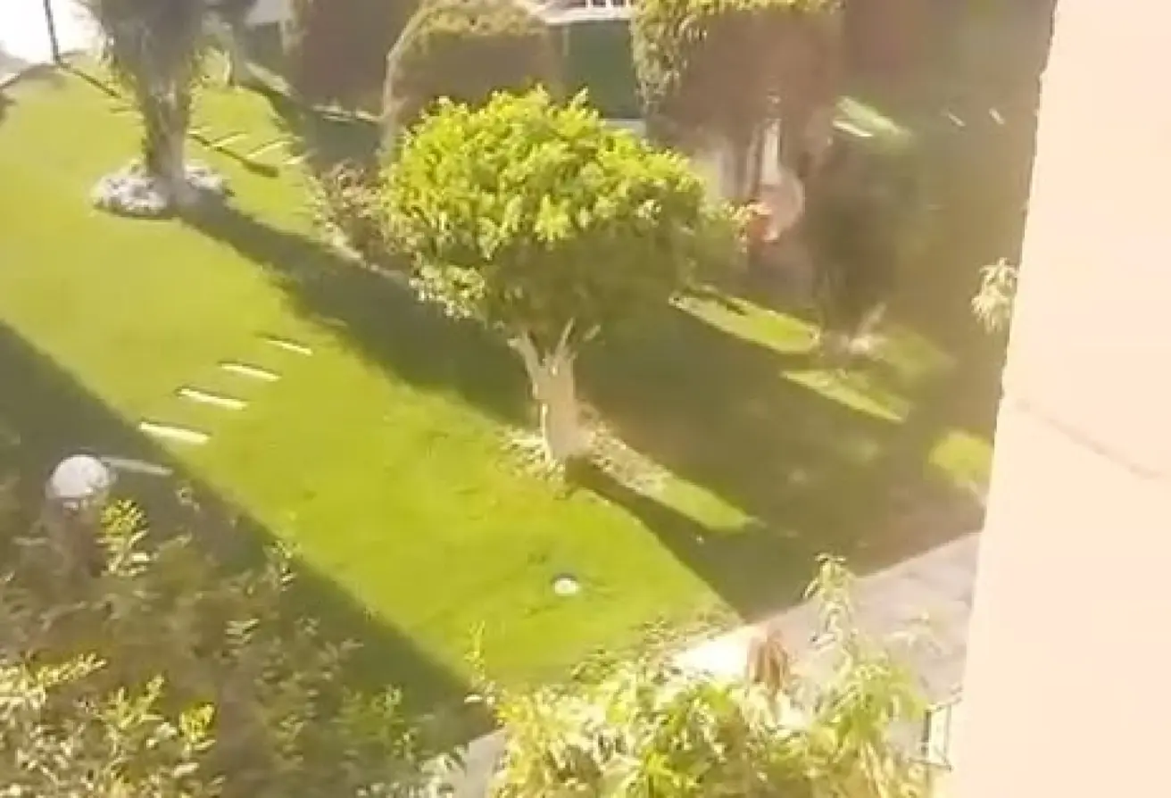 118550554 - الصورة الرئيسية للعقار