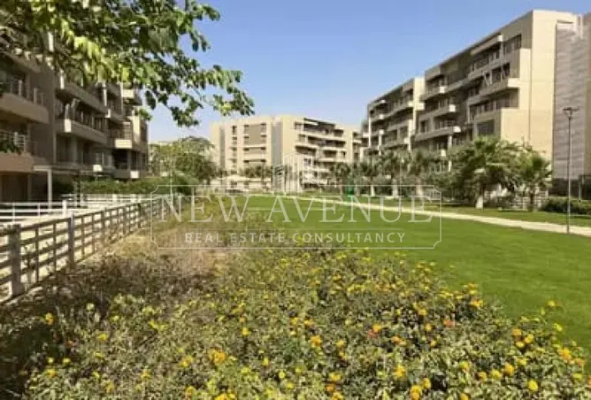 113523029 - صورة العقار 2