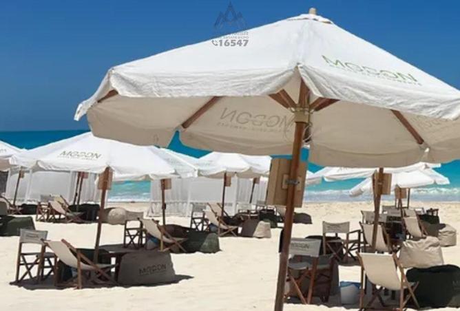 57499994 - صورة العقار 2