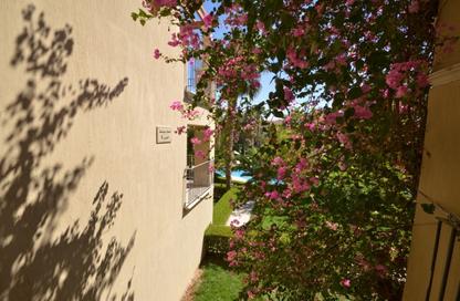 Apartment - Studio - 1 for rent in Veranda - Sahl Hasheesh - Hurghada - Red Sea