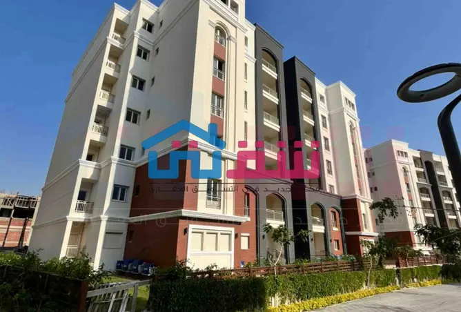 115174642 - Property Image 3