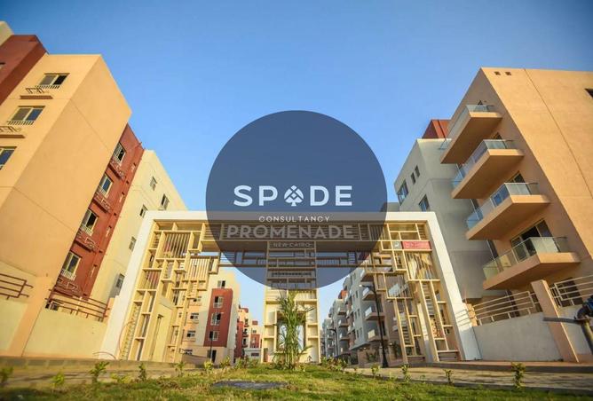 65914796 - Property Image 2