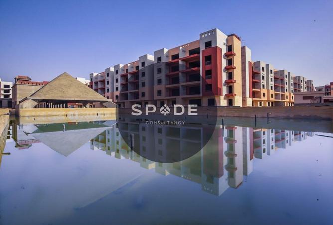 65914796 - Property Image 3