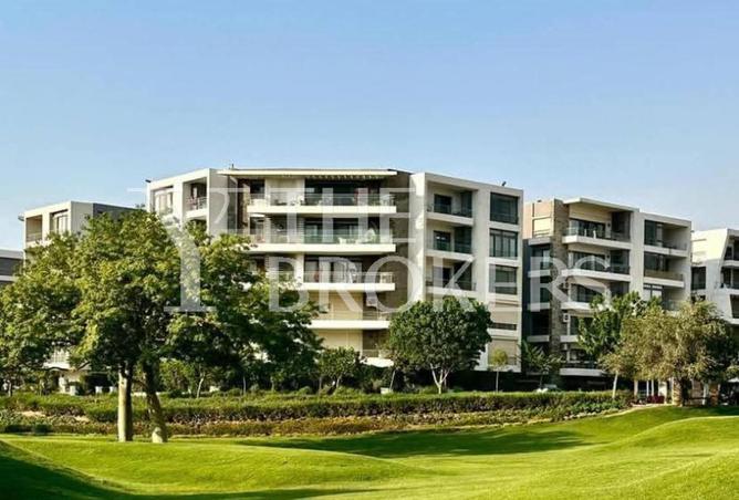 53983816 - Property Image 3