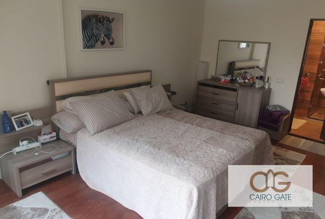 59501678 - Property Image 3