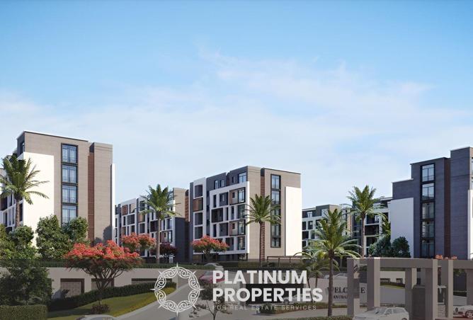 57494730 - Property Image 3