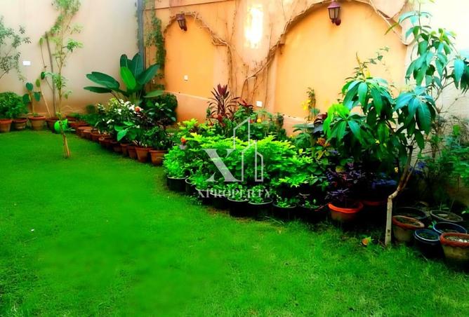 60473339 - صورة العقار 3