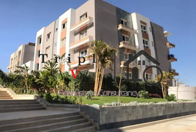 116757746 - Property Image 2