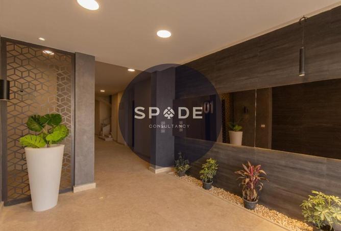 58735623 - Property Image 2