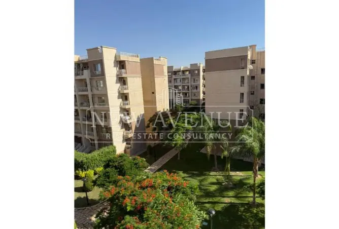 110748036 - Property Image 3