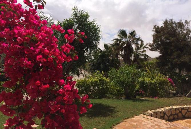 8513091 - Property Image 2