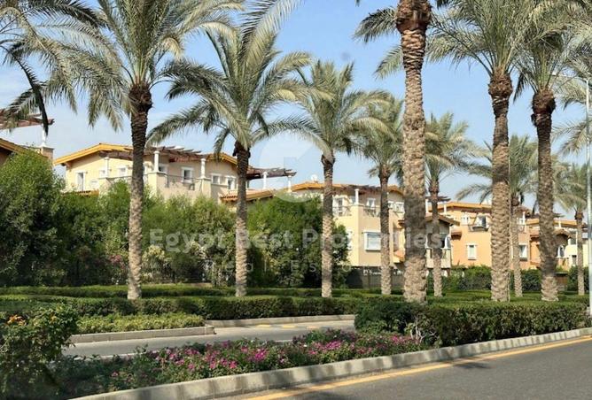 58248427 - Property Image 3