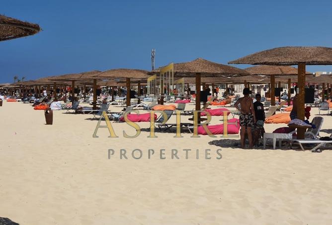 75126614 - Property Image 3