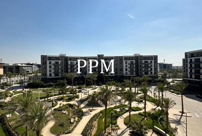 65162409 - Property Image 3