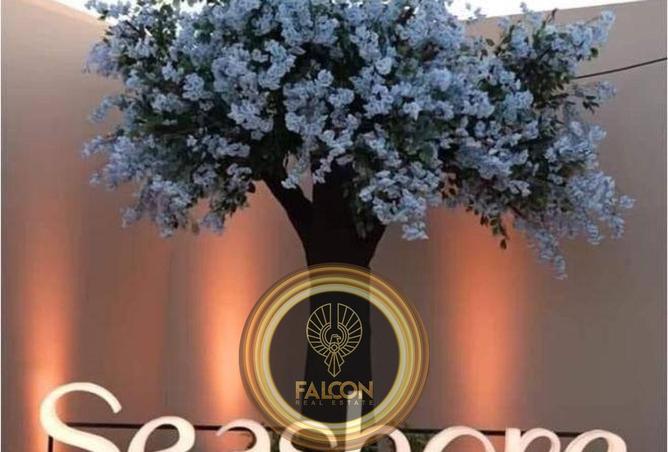 65411061 - صورة العقار 3